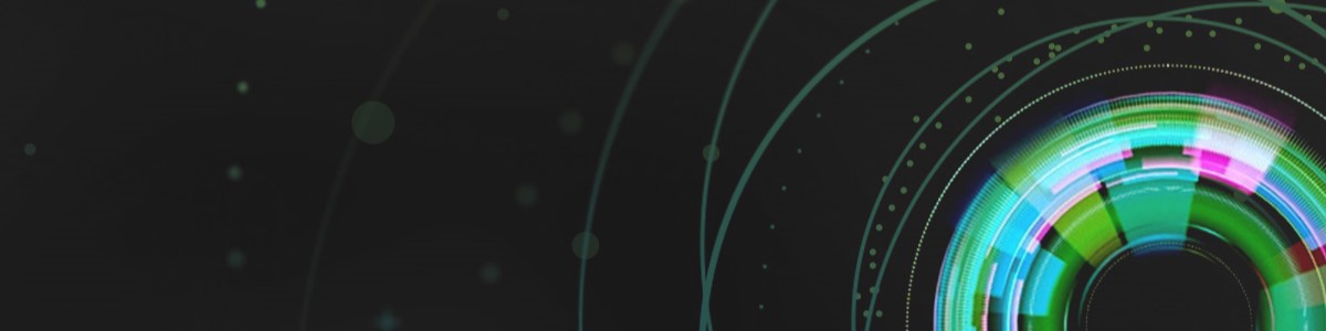 CIO Program