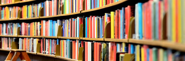 Culture Perspectives