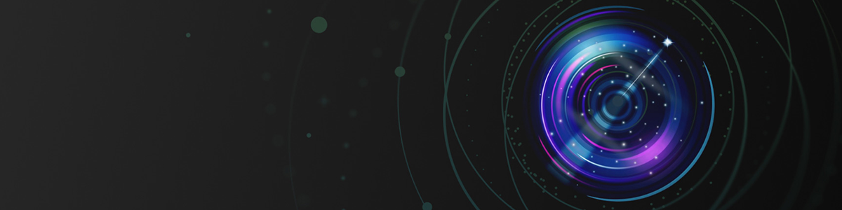 Chief Executive Program